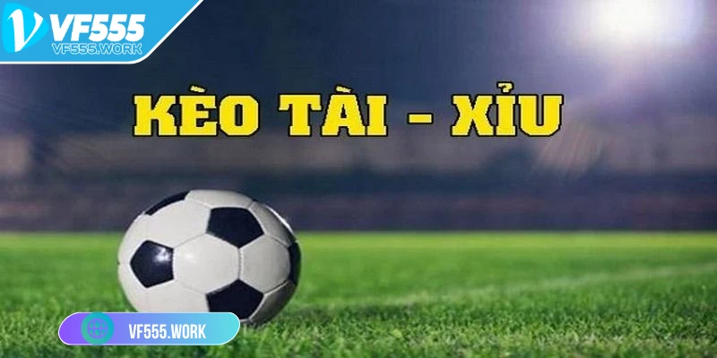 keo-tai-xiu-vf555-hinh-thuc-ca-cuoc